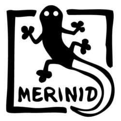 Merinid – Hobby-Zeichnerin für Fantasy & RPG
